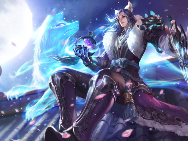 保护水平 保护水平