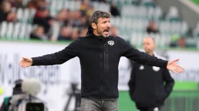 的稳定表现 的稳定表现