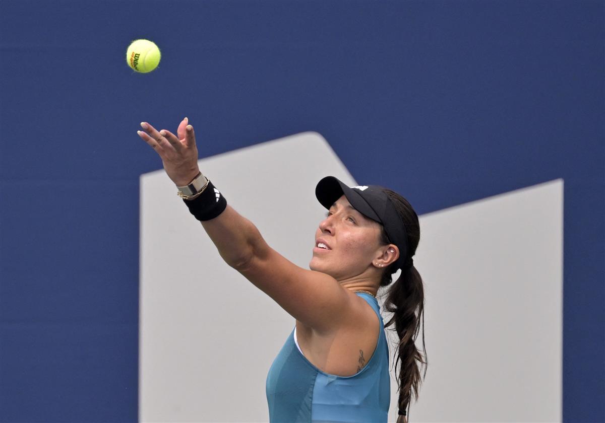 了众多国际 了众多国际