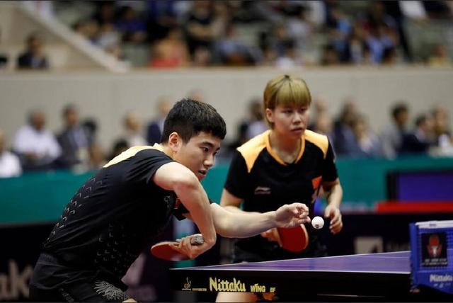 供了参考 供了参考