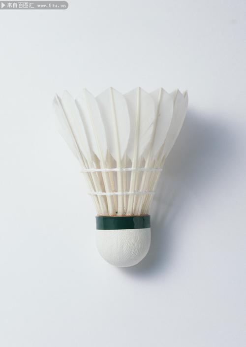 具有极大的 具有极大的